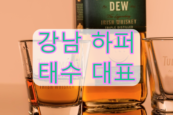 강남 술집 종류