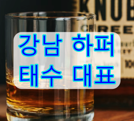 강남 하퍼 추천