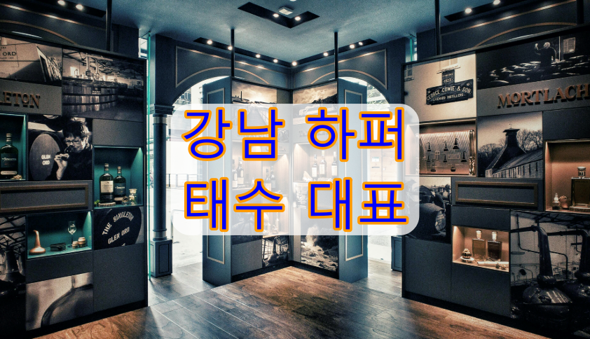 강남 하퍼 태수대표