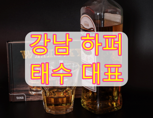 하퍼vs퍼블릭 차이