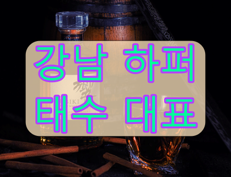 강남 2차 술집 하퍼