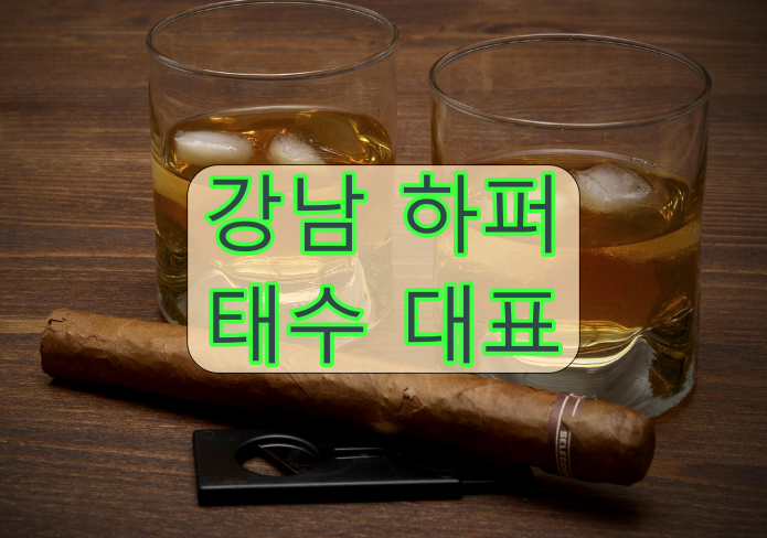 강남하퍼 금액 비교