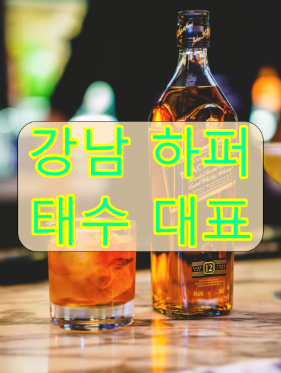 강남 하퍼 가격