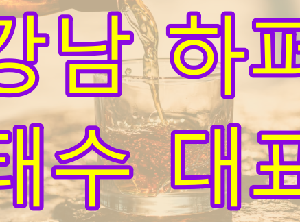 강남 퍼블릭 이용 가이드